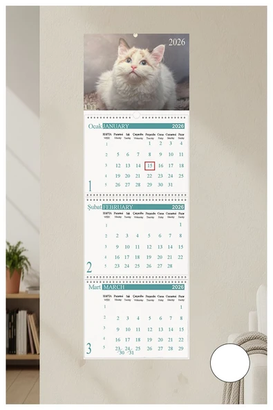 2026 Duvar Takvimi Kedi Resimli 3 Aylık Gemici Takvimi Hayvan Resimli Jumbo Boy Askılı Spiralli Takvim Yeni Yıl Takvim ürün görseli 1