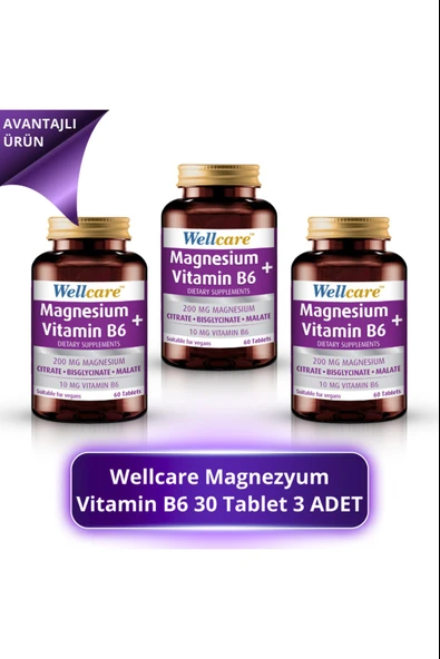 Wellcare Magnezyum + Vitamin B6 30 Tablet 3 Adet ürün görseli 1