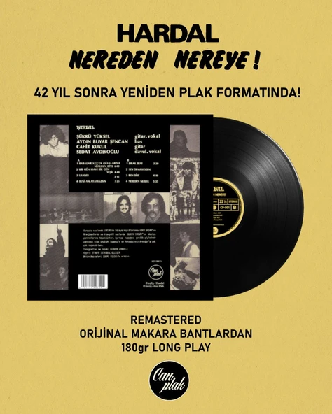 Hardal Nereden Nereye - Plak - Resim 2