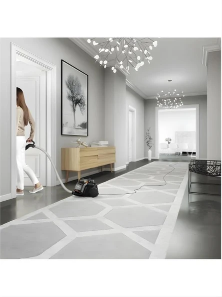 Electrolux UltraFlex EUFC82EB Toz Torbasız Süpürge - Resim 7
