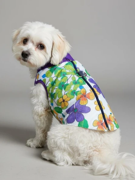 Flora Rain Küçük Köpek Yağmurluk Ceket - Resim 8