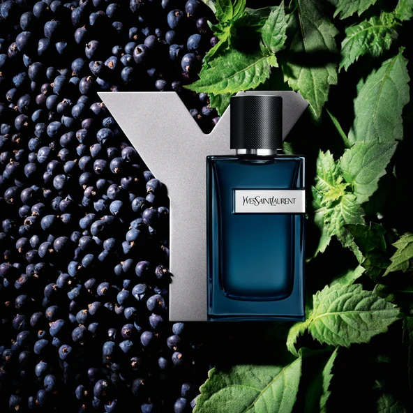 Yves Saint Laurent Y Intense Edp 100 ml - Resim 3