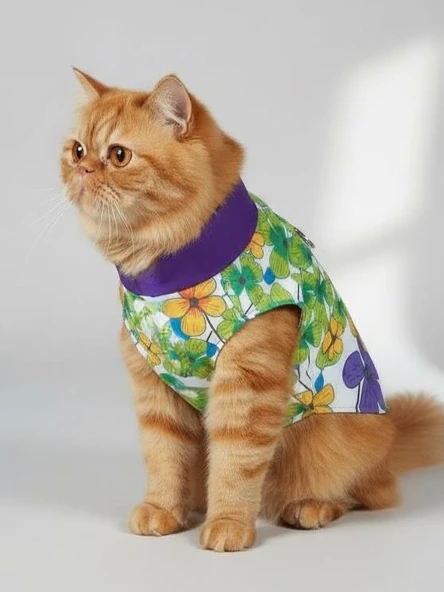 Flora Rain Kedi Yağmurluk Ceket - Resim 4