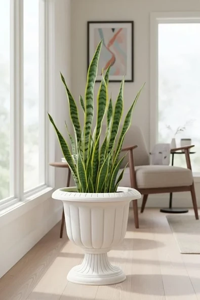 Serinova Nergis Dekoratif Kırık Beyaz Ayaklı Saksı - Plastik Çiçek Bahçe Ve Salon Saksısı 25 Litre ürün görseli 1
