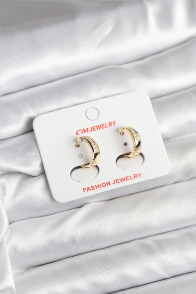 14K Gold Renk Kaplama CM Kadın Küpe - EBJ251201W38647 ürün görseli 1