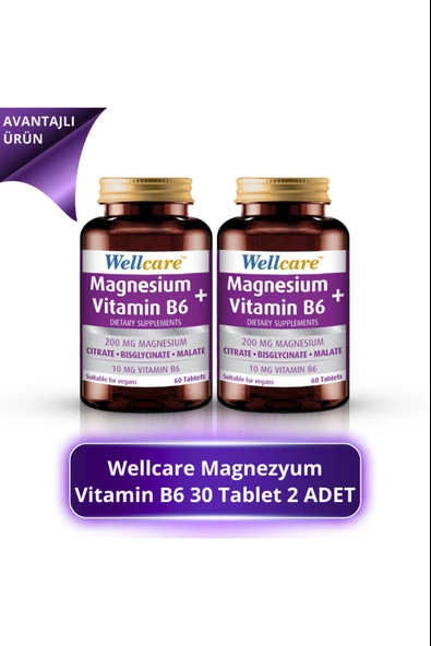 Wellcare Magnezyum + Vitamin B6 30 Tablet 2 Adet ürün görseli 1