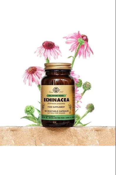 Solgar Echinacea 520 mg 100 Kapsül 2 Adet - Resim 2