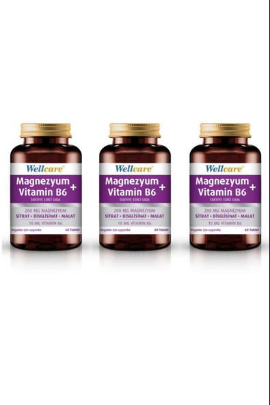 Wellcare Magnezyum + Vitamin B6 60 Tablet 3 Adet ürün görseli 1