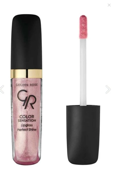 Golden Rose Color Sensation Lipgloss No: 102 Nude Pink - Renkli Dudak Parlatıcısı ürün görseli 1