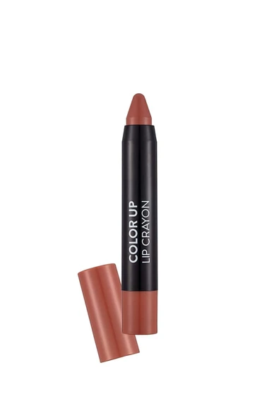 Flormar Color Up Yüksek Pigmentli & Yarı Mat Bitişli Kremsi Kalem Ruj ürün görseli 1