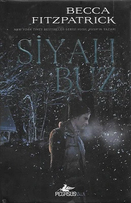 Siyah Buz - Ciltli Kitap Becca Fitzpatrick Pegasus Yayınları - İKİNCİ EL KİTAP ürün görseli 1