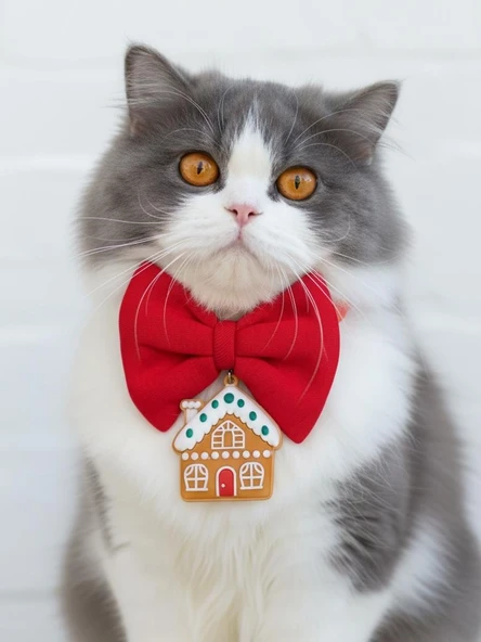 GingerHome Kedi Papyon Tasması | Kırmızı Fiyonk Boyun Aksesuarı | Noel Temalı Kedi Süsü ürün görseli 1