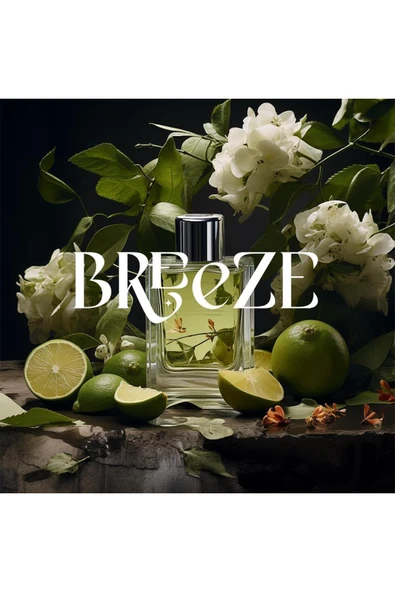 Carpex Breeze E2 Power Koku Kartuşu 125 ml - Resim 4