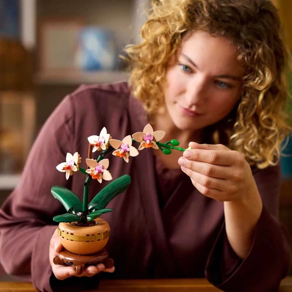 Botanicals Mini Orkide 10343 - Resim 4