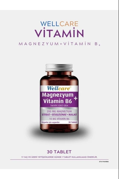 Wellcare Magnezyum + Vitamin B6 30 Tablet ürün görseli 1