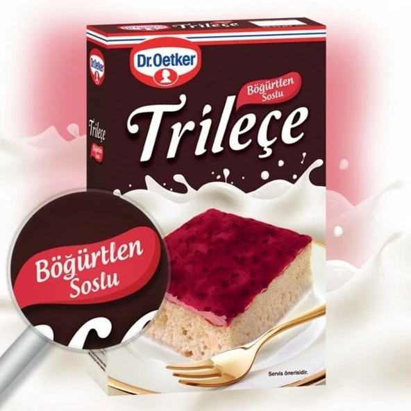 DR. OETKER TRILECE 315GR BOGURTLENLI ürün görseli 1
