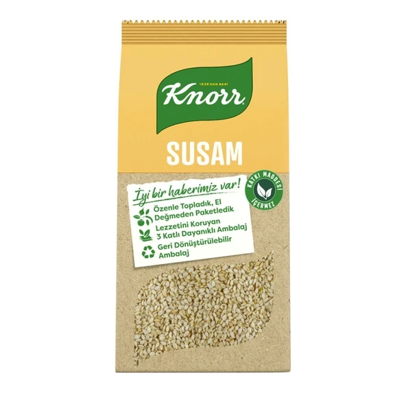 KNORR B. SUSAM 65GR 2962 ürün görseli 1