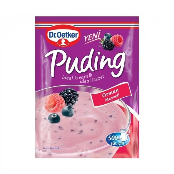 DR.OETKER PUDING  81GR ORMAN MEYVELİ ürün görseli 1