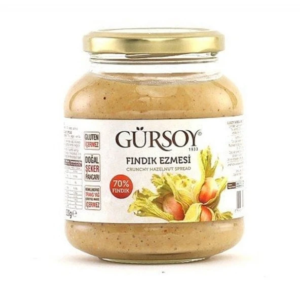 GURSOY SEK.FIND.EZMESI 320GR CAM YENI ürün görseli 1