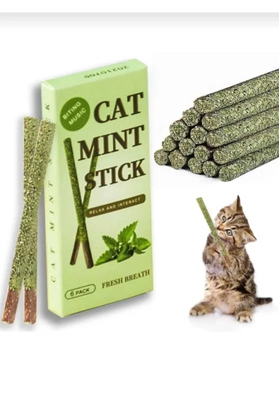Dalian Home 6 Adet Doğal Matatabi Çubuğu Catnip Kedi Catnip Dalı Cat Mint Stick Kedi Oyun Çıtası ürün görseli 1
