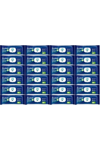 PROSAFE Hasta Vücut Temizleme Islak Mendil Havlu 48 Yaprak Xl (24 LÜ SET) Plastik Kapak ürün görseli 1