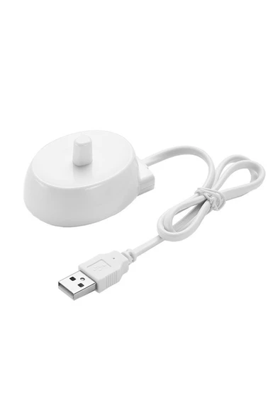 silabor D12, D16, D10, P2000, P4000, P6000 ve D34 ile Uyumlu elektrikli Diş Fırçası Usb Şarj Cihazı ürün görseli 1
