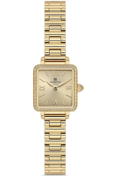 MOMENTUS SS402G-08SG ürün görseli 1