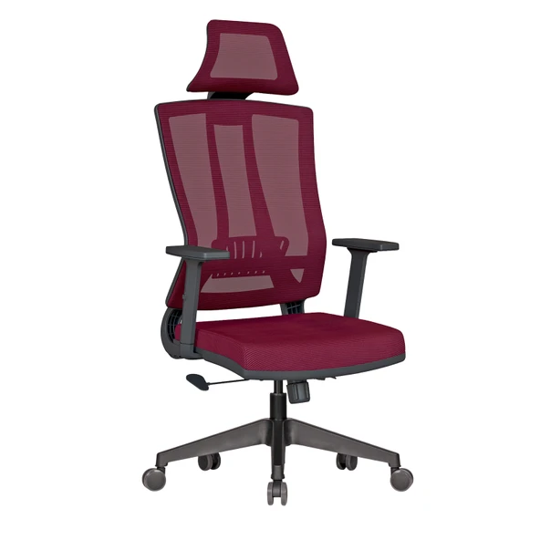Casella Eden Fileli Yönetici Koltuğu | Ofis Koltuğu | Ergonomik, Şık Ve Fonksiyonel ürün görseli 1