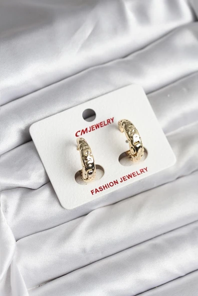 14K Gold Renk Kaplama CM Kadın Küpe - TJ-BKP11420 ürün görseli 1
