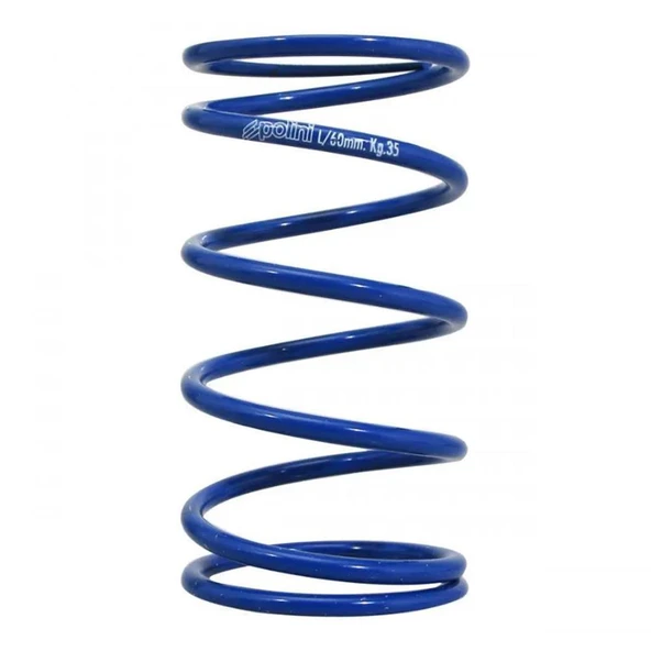 Polini SPRING FOR HONDA SH 125/1 243.084 ürün görseli 1