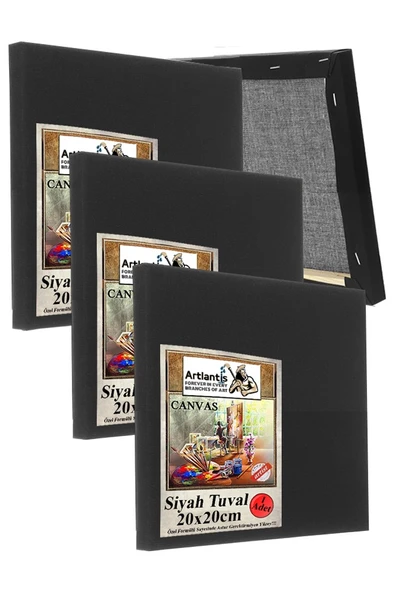 Siyah Tuval 20X20 cm 3 Adet Astarlı Kare Tuval Resim Tuvali Siyah 20*20 cm Tual  Akrilik Yağlı Boya İçin İdeal ürün görseli 1