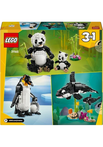 Lego Creator 3in1 - Panda Ailesi 31165 Lisanslı Ürün - Resim 10