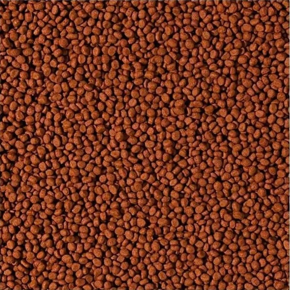Tropical Cichlid Carnivore Small Pellet 1000 Gram Küçük Granül Ba ürün görseli 1