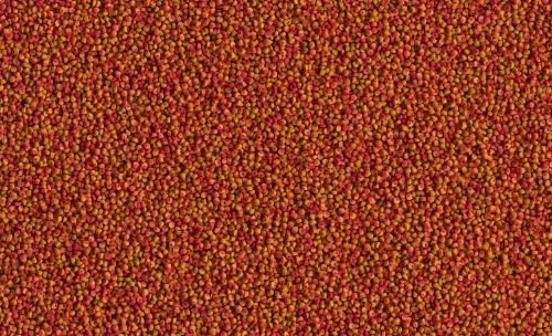 Tetra Cichlid Colour Mini Granules 500 G Açık - Resim 3