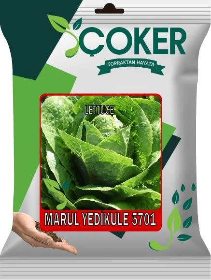 Çoker Marul Yedikule 5701 10 gr ürün görseli 1