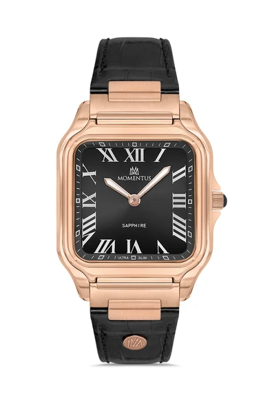 MOMENTUS EM348R-04BR Erkek Kol Saati ürün görseli 1