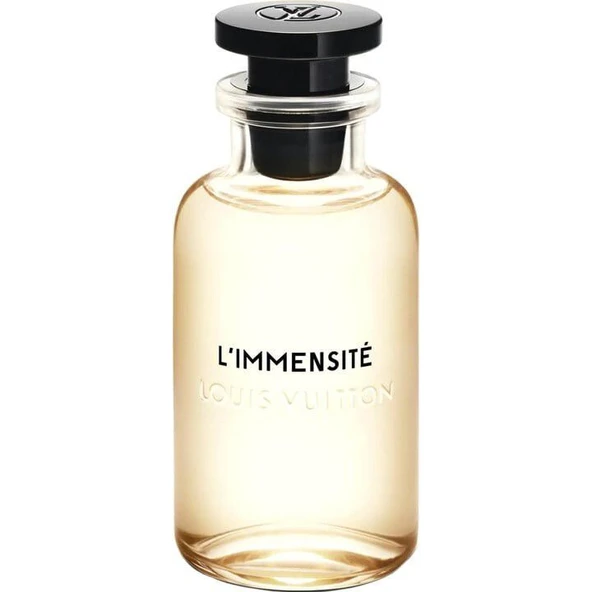 Louis Vuitton L'immensite EDP 100 ml Parfüm - Resim 2