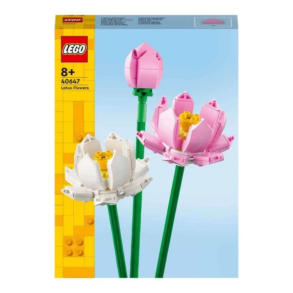 Lotus Çiçekleri 40647 - Resim 4