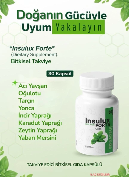 Insulux Forte Tarçın,Oğulotu,Yaban Mersini İçeren Takviye Edici Gıda 1 Kutu 30 Kapsül Caps ürün görseli 1