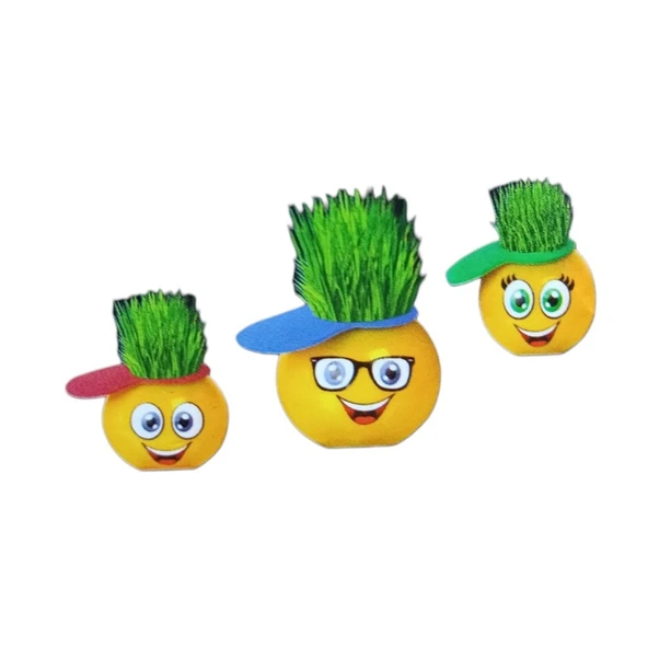 Emoji Çim Adam Yapım Seti-Okul Eğitici Deney Seti 1 Adet ürün görseli 1