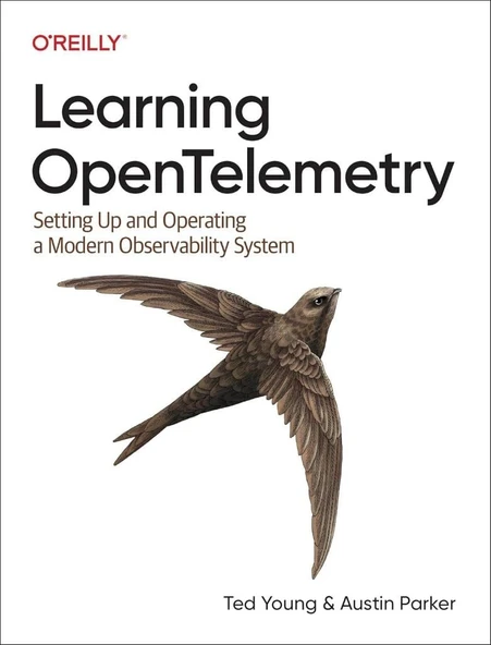 Learning OpenTelemetry: Setting Up and Operating a Modern Observability System Ted Young, Austin Parker ürün görseli 1