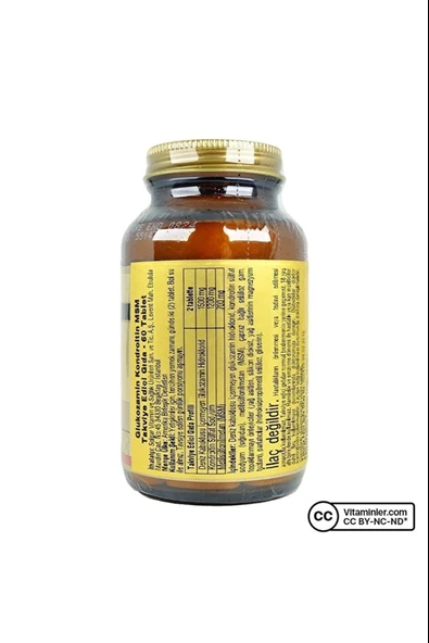 Solgar Glucosamine Chondroitin Msm 60 Tablet - Resim 2