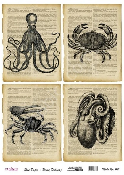 Model 465 - Pirinç Dekopaj Cadencecraft ürün görseli 1