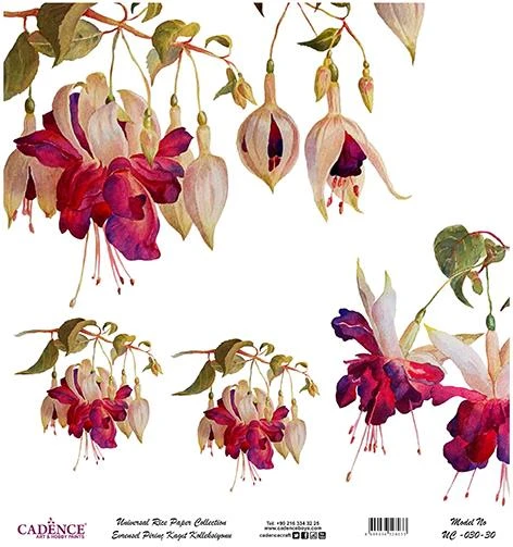Cadence Evrensel Pirinç Dekopaj Kağıdı - UC-030 ürün görseli 1