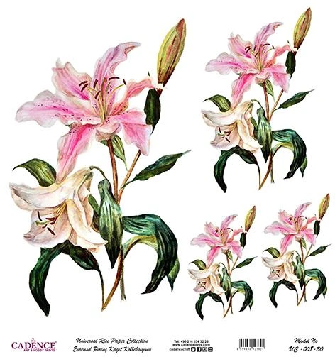Cadence Evrensel Pirinç Dekopaj Kağıdı - UC-008 ürün görseli 1