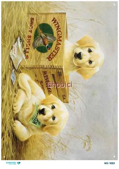Diamond Pirinç Dekopaj Kağıdı - 1053 ürün görseli 1