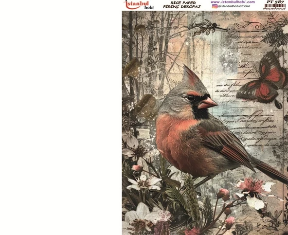 Pirinç Dekopaj Kağıdı 30x42cm PT-587 Kuş Kelebek ürün görseli 1