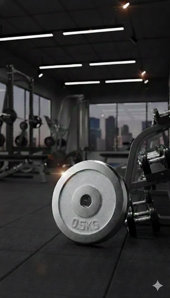 50 KG Dambıl Crom Dambıl 0,5 KG Ağırlık Plaka ürün görseli 1