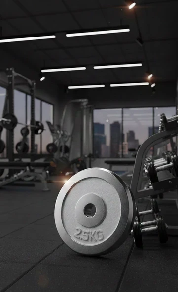 50 KG Dambıl Crom Dambıl 2,5 KG Ağırlık Plaka ürün görseli 1