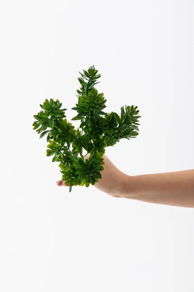 Yapay Çam Demeti 30 Cm 5 Dal - Resim 9